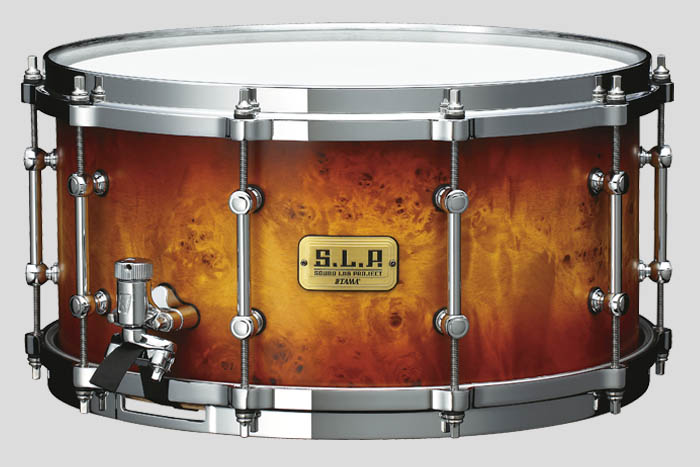 Snare Photo
